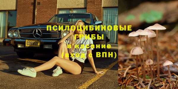 таблы Рославль