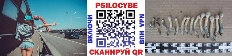 Псилоцибиновые грибы ЛСД  где найти наркотики  Шиханы 